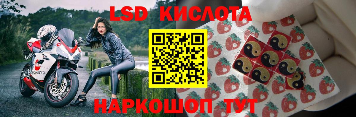 LSD-25 экстази кислота  Вход с VPN  Гатчина  ОМГ ОМГ как зайти  ЛСД экстази ecstasy 