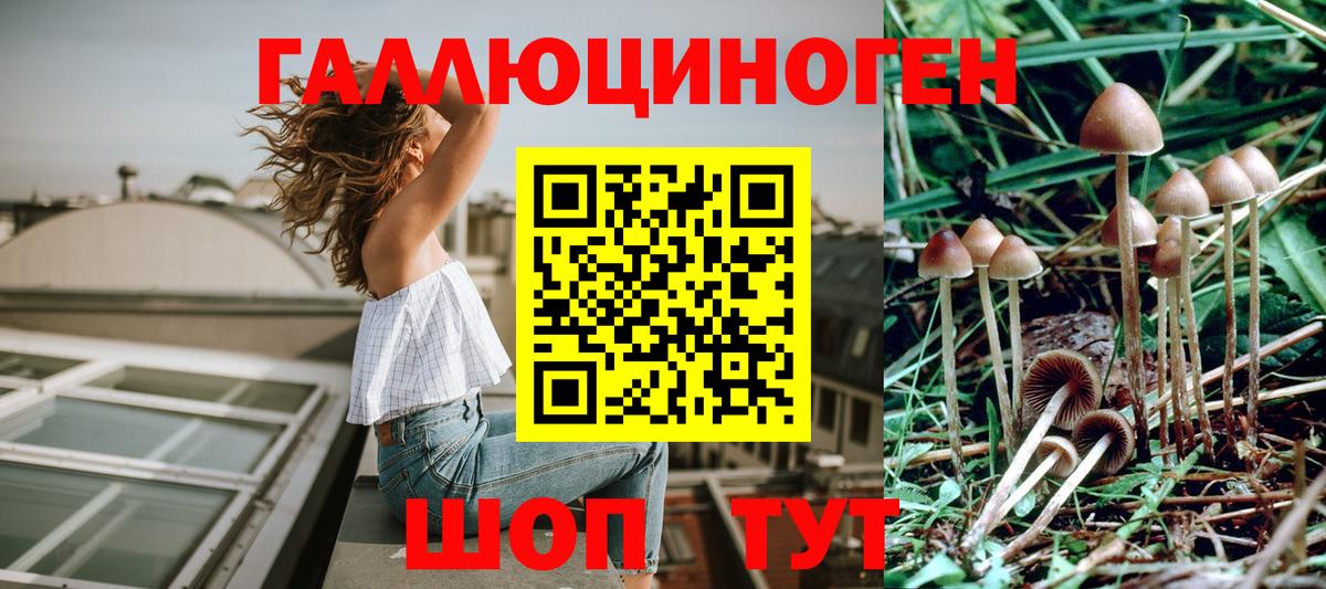 Галлюциногенные грибы MAGIC MUSHROOMS Гатчина