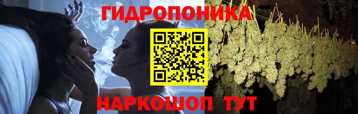 МАРИХУАНА OG Kush Гатчина